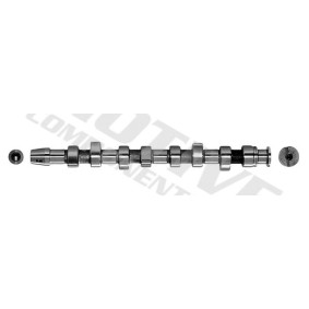 Nockenwelle T2070 von motive günstig für 133,44 € online kaufen
