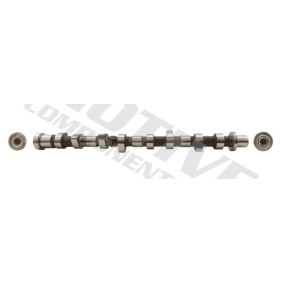 Nockenwelle T8076 von motive günstig für 181,56 € online kaufen