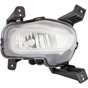 Nebelscheinwerfer 6555088 von DIEDERICHS günstig für 80,76 € online kaufen