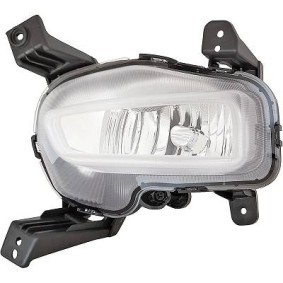 Nebelscheinwerfer 6555089 von DIEDERICHS günstig für 80,35 € online kaufen