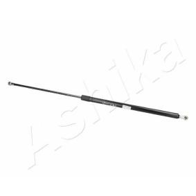 Heckklappendämpfer ZSA02022 von ASHIKA günstig für 18,91 € online kaufen
