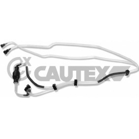 Kraftstoffleitung für RENAULT von CAUTEX