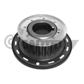 Acquista Ingranaggio albero motore da CAUTEX 031720 a buon mercato per soli 78,28 €