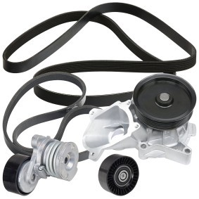 Wasserpumpe + Keilrippenriemensatz 4172P0028 von RIDEX günstig für 137,77 € online kaufen