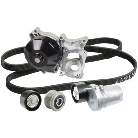 Wasserpumpe + Keilrippenriemensatz 4172P0029 von RIDEX günstig für 159,26 € online kaufen