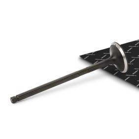 Comprar Válvula de escape de RIDEX 1270O0021 a bajo precio de 8,17 €