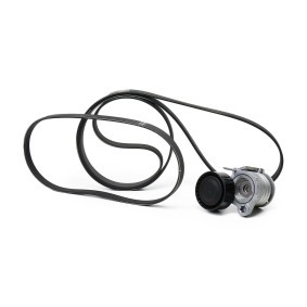 Keilrippenriemensatz VKMA 38317 von SKF günstig für 94,23 € online kaufen