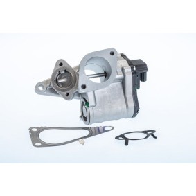 AGR-Ventil 710968R von WAHLER günstig für 144,66 € online kaufen