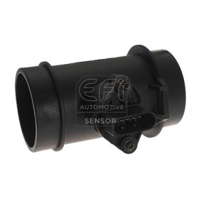 Acquista Debimetro da EFI AUTOMOTIVE 305109 a buon mercato per soli 91,38 €