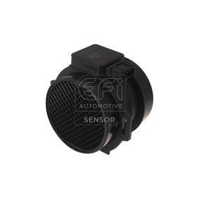 Acquista Debimetro da EFI AUTOMOTIVE 305117 a buon mercato per soli 142,55 €