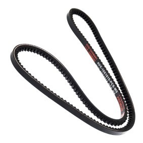 Keilriemen AVX-10X1015-PCS-MS von MASTER-SPORT günstig für 4,75 € online kaufen