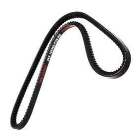Keilriemen AVX-10X905-PCS-MS von MASTER-SPORT günstig für 4,52 € online kaufen