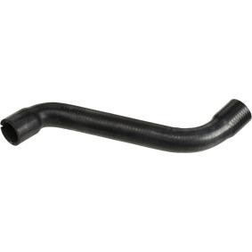 Kühlerschlauch R11190 von RAPRO günstig für 8,06 € online kaufen