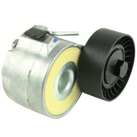 Spannrolle, Keilrippenriemen FT44542 von FAST günstig für 46,51 € online kaufen