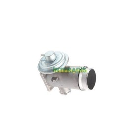 AGR-Ventil 25674 von INTFRADIS günstig für 86,03 € online kaufen