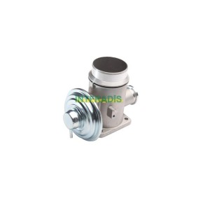 AGR-Ventil 25675 von INTFRADIS günstig für 94,09 € online kaufen