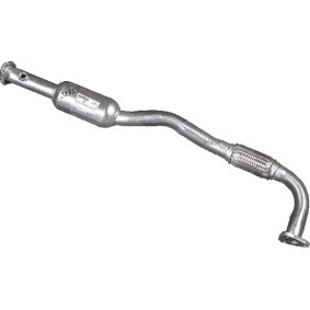 Katalysator 22.053 DAEWOO von IZAWIT
