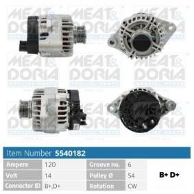 Lichtmaschine 5540182 von MEAT & DORIA günstig für 252,11 € online kaufen