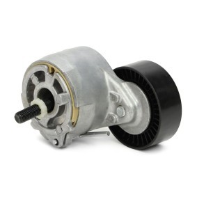 Spannrolle, Keilrippenriemen N52013-PCS-MS IVECO von MASTER-SPORT