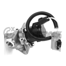 Compre Válvula EGR da CAUTEX 960010 a um preço baixo por 360,20 €