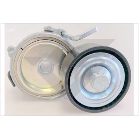 Spannrolle, Keilrippenriemen T0699 von HUTCHINSON günstig für 51,35 € online kaufen