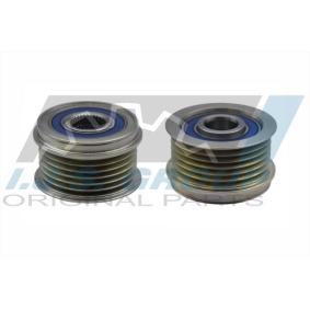 Compre Roda livre do alternador da IJS GROUP 30-1172 a um preço baixo por 29,82 €