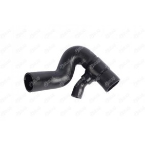 Motorlager des Herstellers IBRAS - Originalware Artikelnummer: 27827