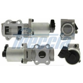 AGR-Ventil EGR12-170 von FRECCIA günstig für 99,43 € online kaufen