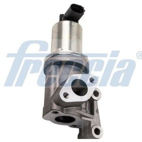 AGR-Ventil EGR12-177 von FRECCIA günstig für 148,11 € online kaufen