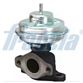 AGR-Ventil EGR12-189 von FRECCIA günstig für 84,10 € online kaufen