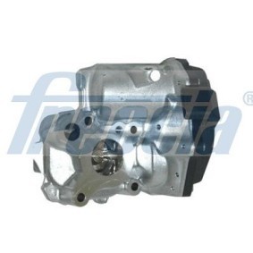AGR-Ventil EGR12-199 von FRECCIA günstig für 160,80 € online kaufen
