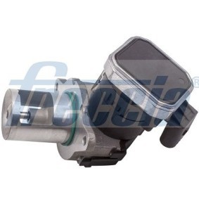 AGR-Ventil EGR12-209 von FRECCIA günstig für 271,03 € online kaufen