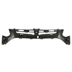 Comprar Soporte, parachoques de BLIC 5502-00-2522940P a bajo precio de 106,74 €