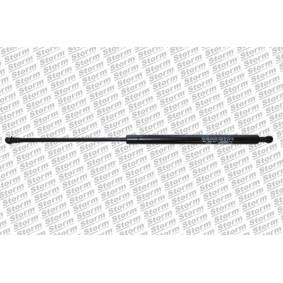Heckklappendämpfer 79798 von STORM QUALITY PARTS günstig für 16,69 € online kaufen