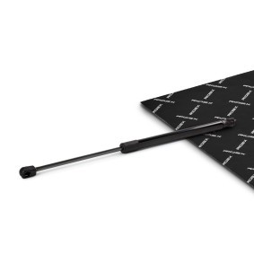 Heckklappendämpfer 219G1021 von RIDEX günstig für 16,21 € online kaufen