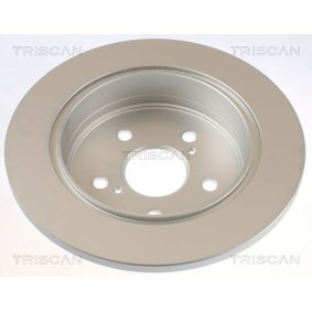 Ankerblech 8125 29138 von TRISCAN günstig für 13,17 € online kaufen