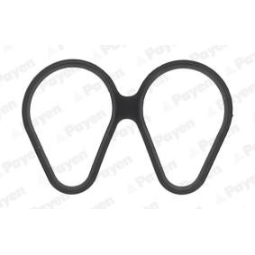 Comprar Junta, colector de admisión de PAYEN JD6161 a bajo precio de 2,60 €