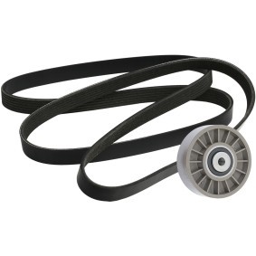 Compre Jogo de correia trapezoidal estriada de RIDEX online para W124 Carrinha (S124) a preços moderados