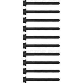 Compre Tornillos de culata de REINZ online para Golf Alltrack VIII (CG5) a precios moderados