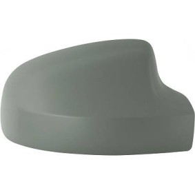 Compre Capa retrovisor de DIEDERICHS online para SANDERO II a preços moderados