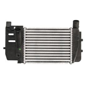 Köp Intercooler av THERMOTEC DA2008TT till det låga priset 1899,16 kr