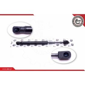 Compre Maletero de ESEN SKV online para Toledo II Sedán (1M2) a precios moderados