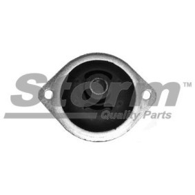 Motorlager für FIAT von STORM QUALITY PARTS