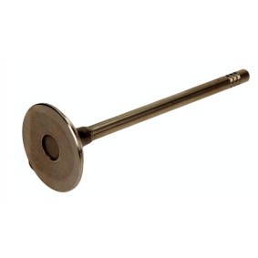 Einlaßventil PPEU034-A-0-N von AMP günstig für 19,31 € online kaufen