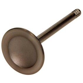 Einlaßventil PVWG021-S-0-N von AMP günstig für 11,99 € online kaufen