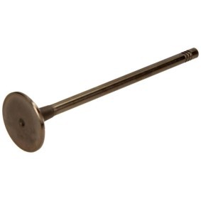 Einlaßventil PNIS103-S-0-N von AMP günstig für 10,94 € online kaufen