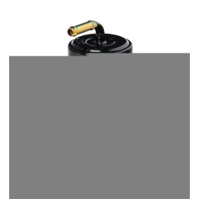 Comprar Filtro combustible de HENGST FILTER H258WK a bajo precio de 9,68 €