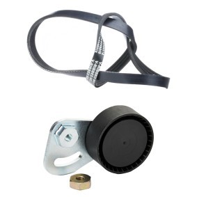 Achetez des Jeu de courroies trapézoïdales à nervures RIDEX 542R0986 à prix pour 28,56 €