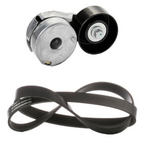 Compre Correia do alternador de RIDEX online para Sentra VI (B16) a preços moderados