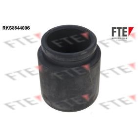 Compre Êmbolo, pinça do travão da FTE 9313381 a um preço baixo por 19,64 €